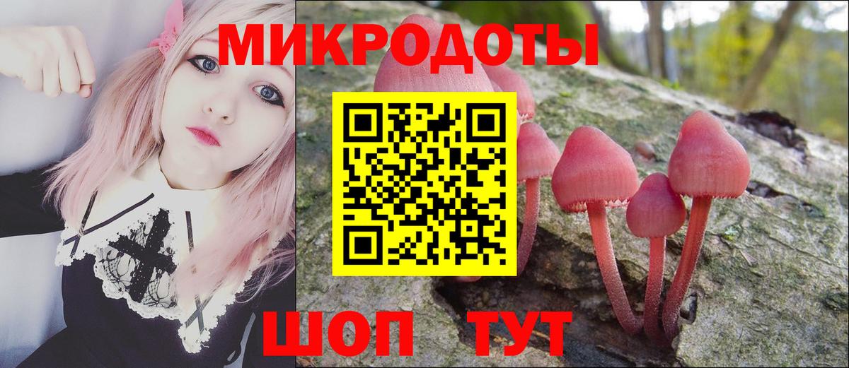 Галлюциногенные грибы Cubensis Майский