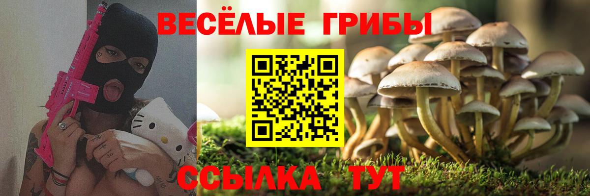 Галлюциногенные грибы мухоморы  Галлюциногенные грибы мицелий  Вход с VPN  Майский 